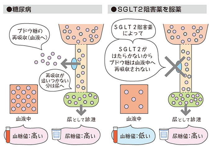 作用機序