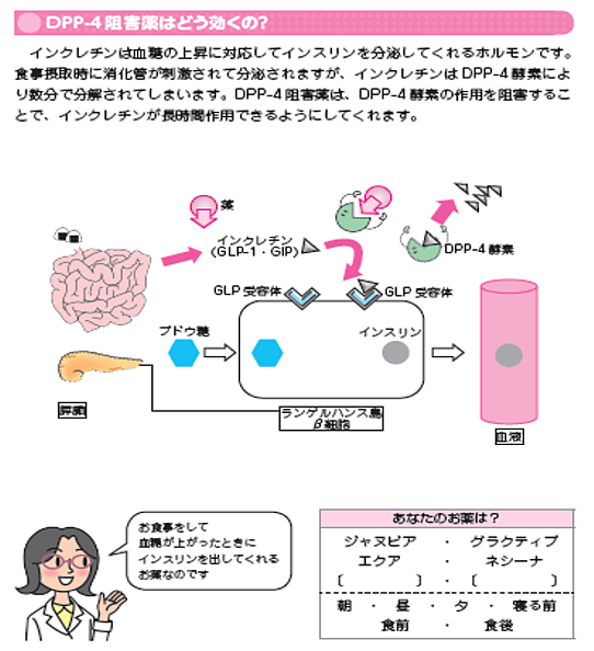 糖尿病の治療薬の種類